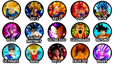 Les principales formes Super Saiyan et transformations Saiyan de Dragon Ball